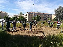 Gardentopia, ad Oliveto Lucano le riprese del film "Autotrofia" di Anton Vidokle