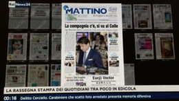 Come? Rousseau decide sul governo dopo Mattarella? Il direttore Luciano: «Eh, a questo stiamo...»