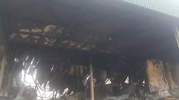 Un enorme incendio distrugge l'azienda agricola "Bio Orto" di Apricena