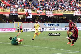 Foggia-Taranto, il verso del Tortori scaccia i delfini 