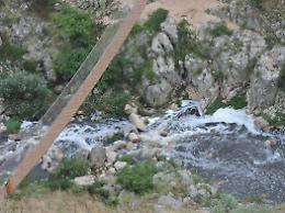 Inquinamento torrente Gravina, Acito: "Individueremo i responsabili"