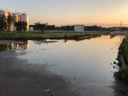Sabotaggio di delinquenti ad una cantina di San Severo: vino lasciato scorrere a fiume nelle campagne