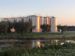 Sabotaggio all'Antica Cantina di San Severo: danni per un milione e mezzo di euro
