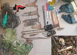 Sorpreso a Villa d’Agri mentre catturava cardellini: denunciato per "bracconaggio"
