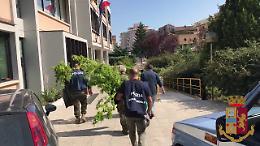 Colossale operazione antidroga della Polizia di Campobasso: 6 arresti e 70 perquisizioni, anche a Foggia