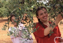 Agriturismi strapieni per il ponte di Ognissanti in Puglia