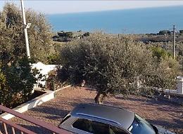Mafia, 9 colpi di fucile per freddare "Fic Secc" a Monte Sant'Angelo