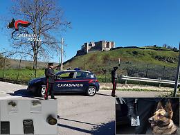 A Melfi il cane carabiniere "Gnom" scova droga vicino una scuola: denunciato quindicenne