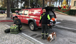 Terremoto in Albania: Vigili del Fuoco e Croce Rossa pronti a partire anche da Foggia