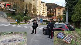 Sorpresi a catturare cardellini a Lauria, denunciati per “bracconaggio” 
