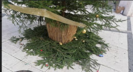 A San Severo rompono pure  le palle all'albero di Natale