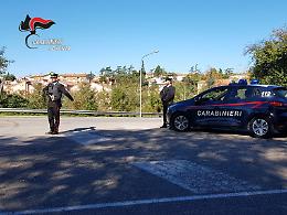 Controllo del territorio natalizio: undici denunce