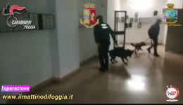 100 mila euro ad un costruttore, 5 mila a un commerciante tra le richieste dei fermati dall'operazione interforze a Foggia