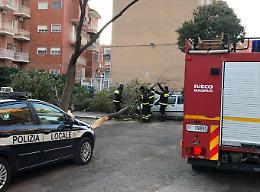Allerta Protezione Civile per forti venti, il sindaco di Foggia chiude parchi giochi, villa e cimitero