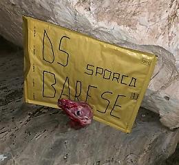 Testa mozzata di agnello per l'allenatore del Taranto dopo la sconfitta con il Foggia