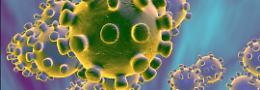 Pandemia e trasmissione intergenerazionale del trauma 

