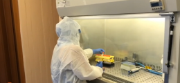 Coronavirus, aumentano i tamponi ma il numero di contagiati resta quasi a zero