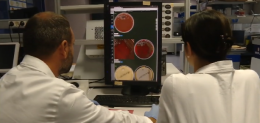 Coronavirus, in Basilicata record di positivi: 464 su 2.494 test 