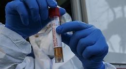 Coronavirus, Da Banzi a Trento: l'infermiera lucana con il cuore grande che ha scelto di lavorare in una residenza per anziani trentina 