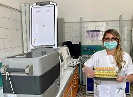 Coronavirus, dalla Puglia a Padova i primi campioni di sangue dei pazienti guariti per testare la terapia degli anticorpi