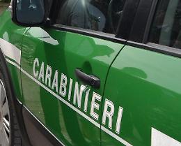  Peculato e concussione, arrestati due carabinieri a Potenza 