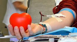 Coronavirus, parte in Puglia la sperimentazione dell'immunoterapia con il sangue dei pazienti guariti