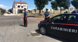Marconia, operazione dei carabinieri: la banda bassotti brindisina sorpresa a rubare sette quintali di albicocche