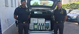 Da Cerignola a Caserta per vendere olio extravergine falso, i Baschi Verdi della GdF lo scoprono