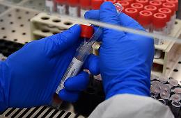 Coronavirus, i contagi alla Fca Sata di Melfi sono già cinque