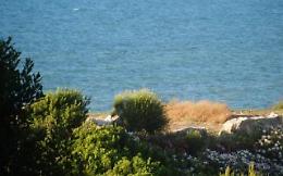 Due giovani sbandano e finiscono con l'auto in mare sul Gargano