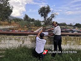 La Guardia Costiera di Manfredonia sequestra 4 letti di essiccazione di fanghi da depurazione