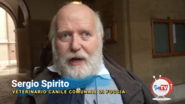 Foggia perde il veterinario Sergio Spirito, il "papà" dei cani senza famiglia