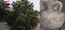 "Cultore" di marijuana e di reperti archeologici, insospettabile 55enne di Manfredonia incastrato dai Carabinieri