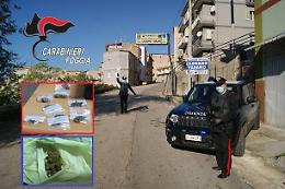 I Carabinieri passano al setaccio il Gargano imbottito di droga tra cocaina nel motore, marijuana nei muri e dentro i calzini