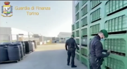 Nelle province di Foggia e Torino ortaggi, funghi, olive prodotti in Spagna, Francia e Ungheria ma spacciati come "made in Italy"