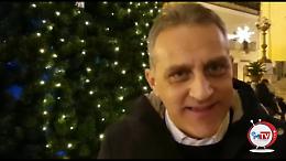 Gatta non rinuncia all'albero di Natale per accendere la Capitanata di speranza