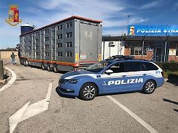Agnelli ammazzati per la Pasqua: in Puglia uno su due viene dall'estero, in condizioni indescrivibili