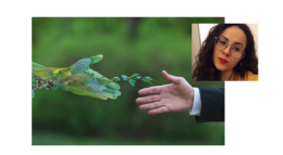 Il nuovo ministero della Transizione ecologica visto da una studentessa di Scienze forestali