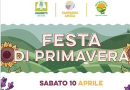 Matera, al mercato di Coldiretti arriva il gelato di latte d'asina