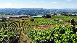 La Tenuta Marino guadagna per il secondo anno di seguito il premio Città di Pramaggiore