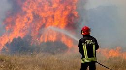 La Capitanata brucia: 40 ettari di grano in fumo tra Foggia e San Severo