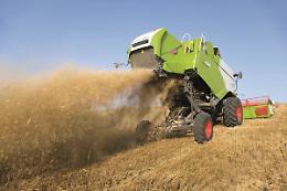 Quest'anno meno grano, ma di ottima qualità: da sola la provincia di Foggia produce 7 dei 9,5milioni di quintali della Puglia