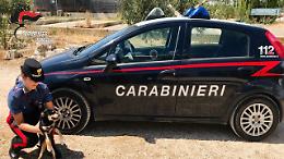 Legato ad un albero sotto il sole, senza cibo e acqua: i Carabinieri di Monte Sant'Angelo salvano il piccolo Argo affidando all'Enpa