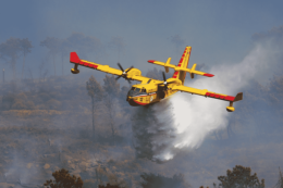 Incendi in Basilicata. Anci: «Più risorse e uomini per il sistema d'emergenza»

