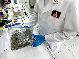 Sferzata di Ferragosto dei Carabinieri sul Gargano tra arresti, locali sanzionati e controlli a tappeto