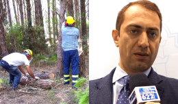 Gli addetti ai cantieri forestali chiedono chiarezza. Fai, Flai, Uila in pressing sull'assessore Fanelli
