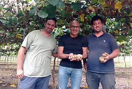 Bando agriturismo, dopo il flop dell'ultimo avviso arriva la proroga. Braia (Iv): «Che il comparto possa ripartire»