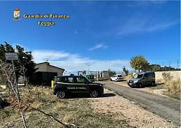 Anche ex dipendenti comunali indagati dalla GdF per l'affidamento sospetto del canile di San Giovanni Rotondo