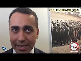 Di Maio a Foggia: solite liti con Salvini, ma «il Governo va avanti»