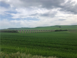 Da Gioia del Colle a Rocchetta Sant'Antonio, il lungo ponte di Vasco Rossi per la Puglia